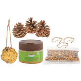 Diy Bird Feeder Pine Cones - Do-It-Yourself