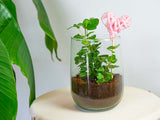 Vase Martin - Diy Kit - ↑ 17 Cm