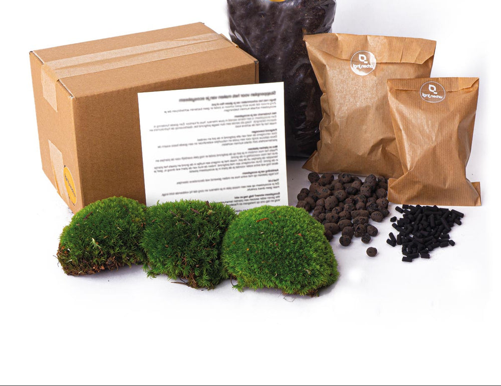 Terrarium Package – Refill & Starter Package – Diy Terrarium Kit – Size L/Xl