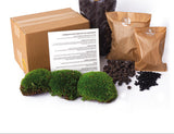 Terrarium Package – Refill & Starter Package – Diy Terrarium Kit – Size L/Xl