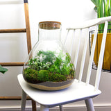 Terrarium Diy Kit - Sam Xl - Bottle Garden - ↑ 35 Cm
