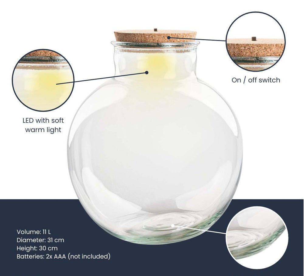Terrarium Bottle 'Teddy' - Incl. (Led) Cork - Closed Terrarium Ø 25 Cm ↑ 26.5 Cm