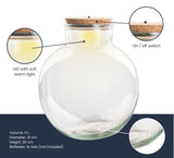 Terrarium Bottle 'Teddy' - Incl. (Led) Cork - Closed Terrarium Ø 25 Cm ↑ 26.5 Cm