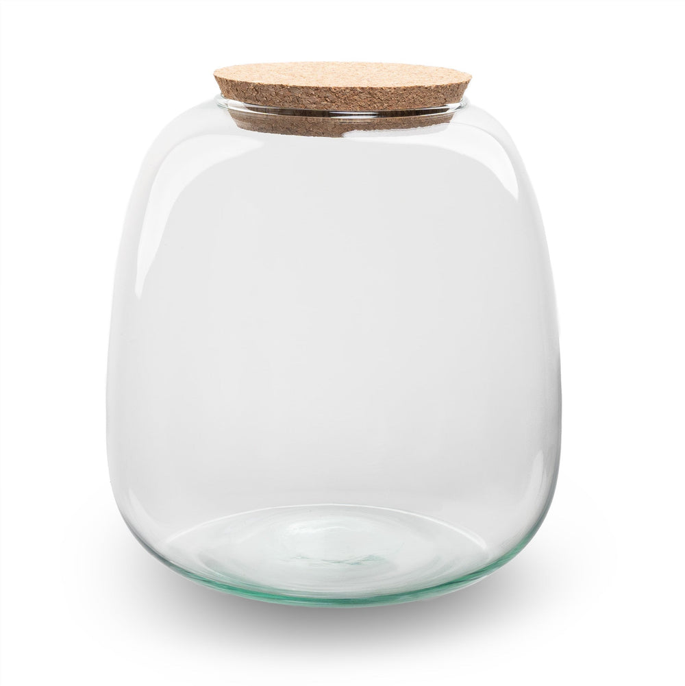 Terrarium Bottle ‘Emma Mini’ With Cork - Closed Terrarium Ø 19 Cm ↑ 20 Cm