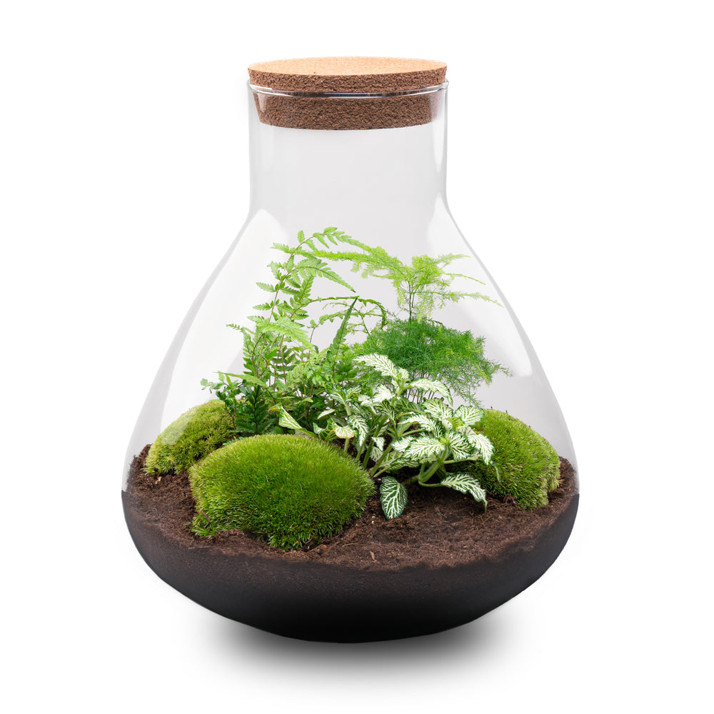 Terrarium Mia - Ø 30 Cm ↑ 32 Cm - Relatiegeschenk