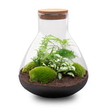 Terrarium Mia - Ø 30 Cm ↑ 32 Cm - Relatiegeschenk