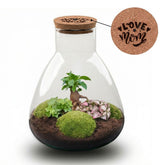 'Love Mom' Terrarium Mia + Engraved Cork With Light - Diy Kit - Ø 24.5 Cm ↑ 30 Cm - Mother’s Day