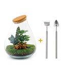 Terrarium Diy Kit - Noa Rosso - ↑ 43 Cm