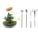 Terrarium Diy Kit - Noa Rosso - ↑ 43 Cm