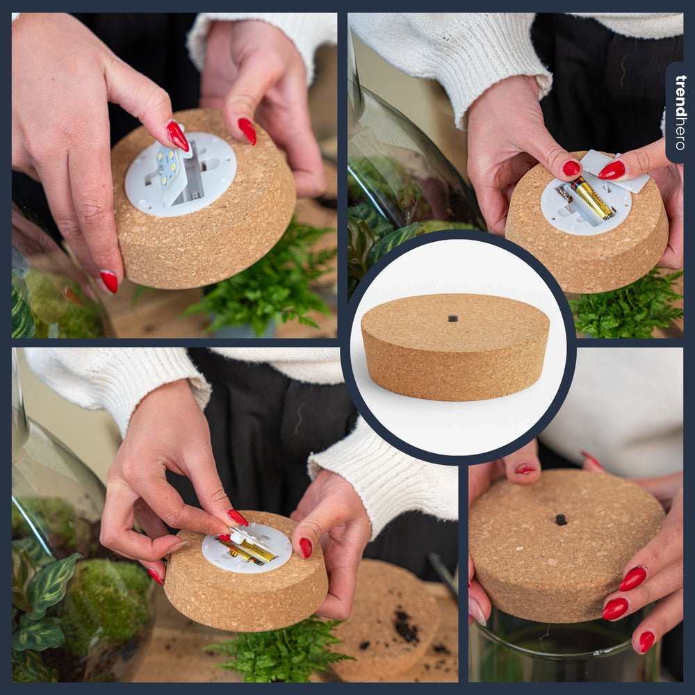 Cork With Led - Terrarium Cork With Light - 3 Sizes Available