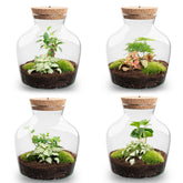 Andolino - Terrarium With Light - Diy Kit - Ø 20 Cm ↑ 22 Cm