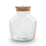 Terrarium Bottle 'Minolino' - Incl. Led Cork - Closed Terrarium Ø 20 Cm ↑ 22 Cm
