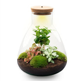 Terrarium Mia - Ø 24,5 Cm ↑ 30 Cm - Relatiegeschenk