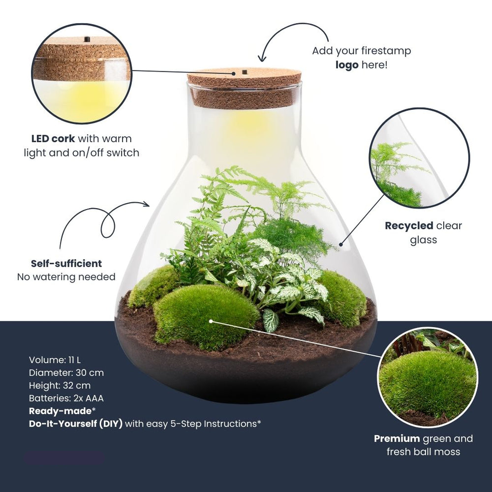 Terrarium Mia - Ø 30 Cm ↑ 32 Cm - Relatiegeschenk