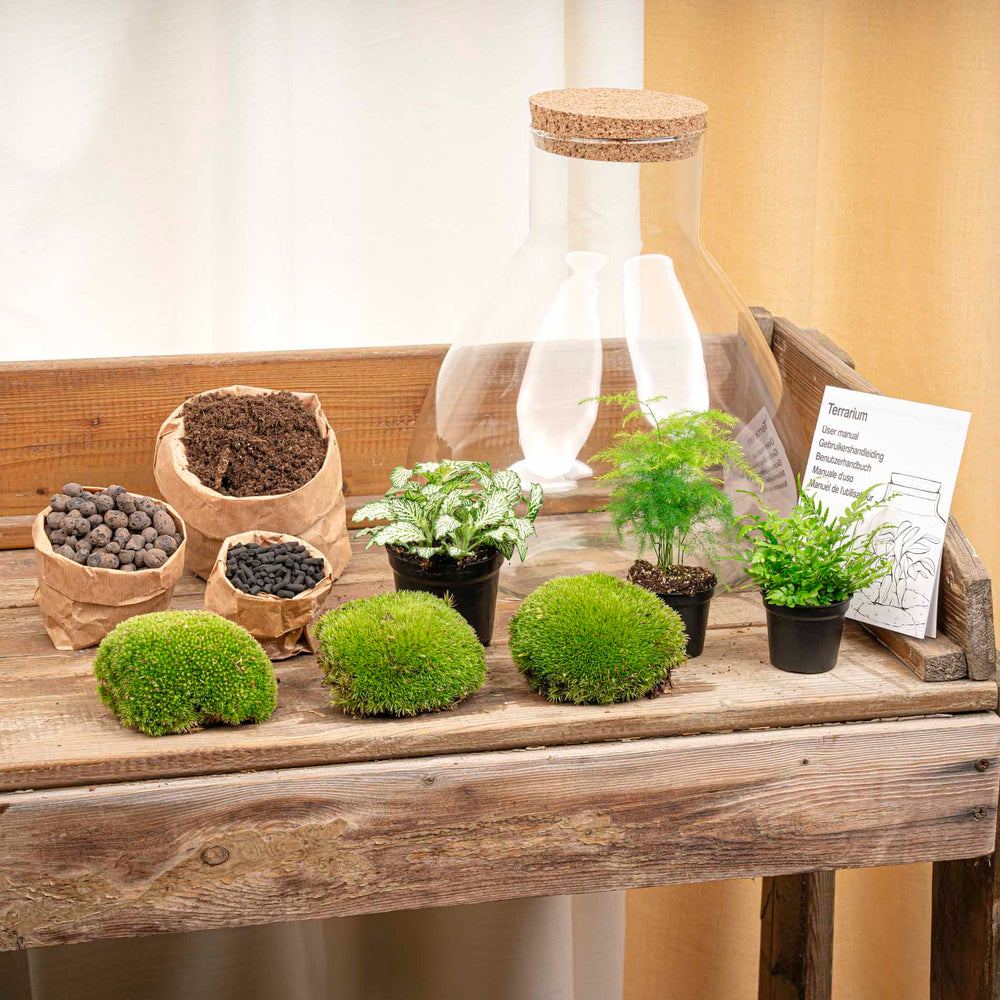 Terrarium Mia - Ø 30 Cm ↑ 32 Cm - Relatiegeschenk