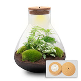 Terrarium Mia - Ø 30 Cm ↑ 32 Cm - Relatiegeschenk
