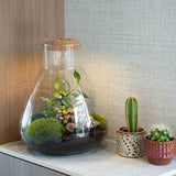 'Love Mom' Terrarium Mia + Engraved Cork With Light - Diy Kit - Ø 24.5 Cm ↑ 30 Cm - Mother’s Day