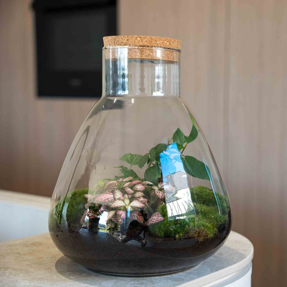 'Love Mom' Terrarium Mia + Engraved Cork With Light - Diy Kit - Ø 24.5 Cm ↑ 30 Cm - Mother’s Day