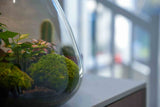 'Love Mom' Terrarium Mia + Engraved Cork With Light - Diy Kit - Ø 24.5 Cm ↑ 30 Cm - Mother’s Day