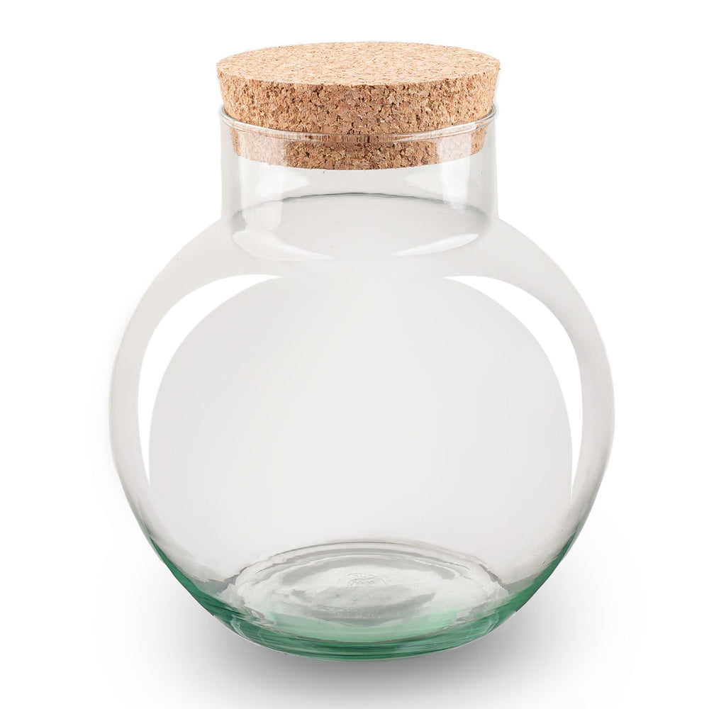 Terrarium With Cork - Noah - Closed Terrarium ↑ 20 Cm