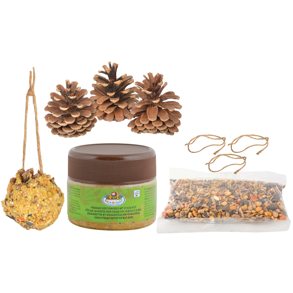 Diy Bird Feeder Pine Cones - Do-It-Yourself