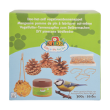 Diy Bird Feeder Pine Cones - Do-It-Yourself