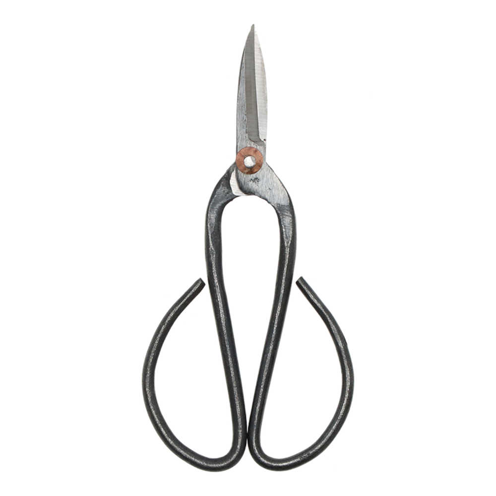 Bonsai Shears L - 19 Cm - Bonsai Tool