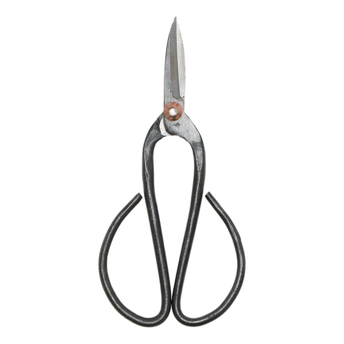 Bonsai Shears L - 19 Cm - Bonsai Tool