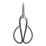 Bonsai Shears L - 19 Cm - Bonsai Tool