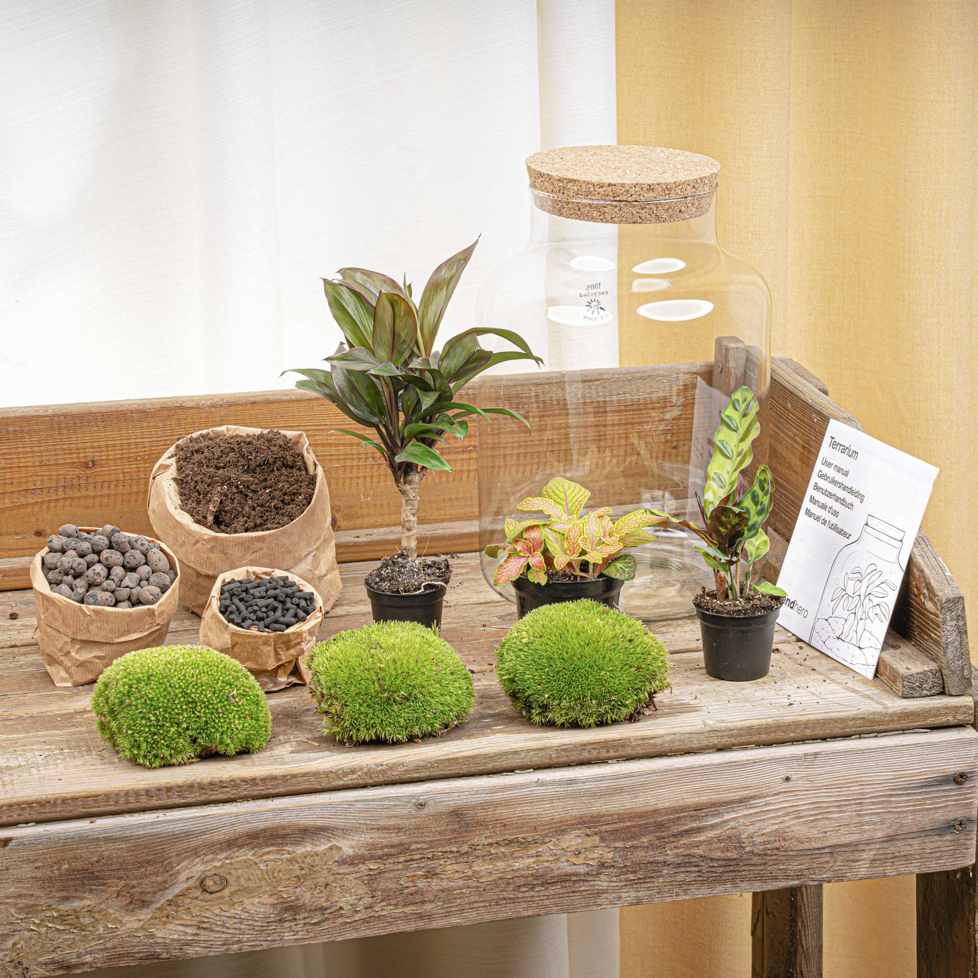 Terrarium Diy Kit - Milky Palm - Bottle Garden - ↑ 30 Cm