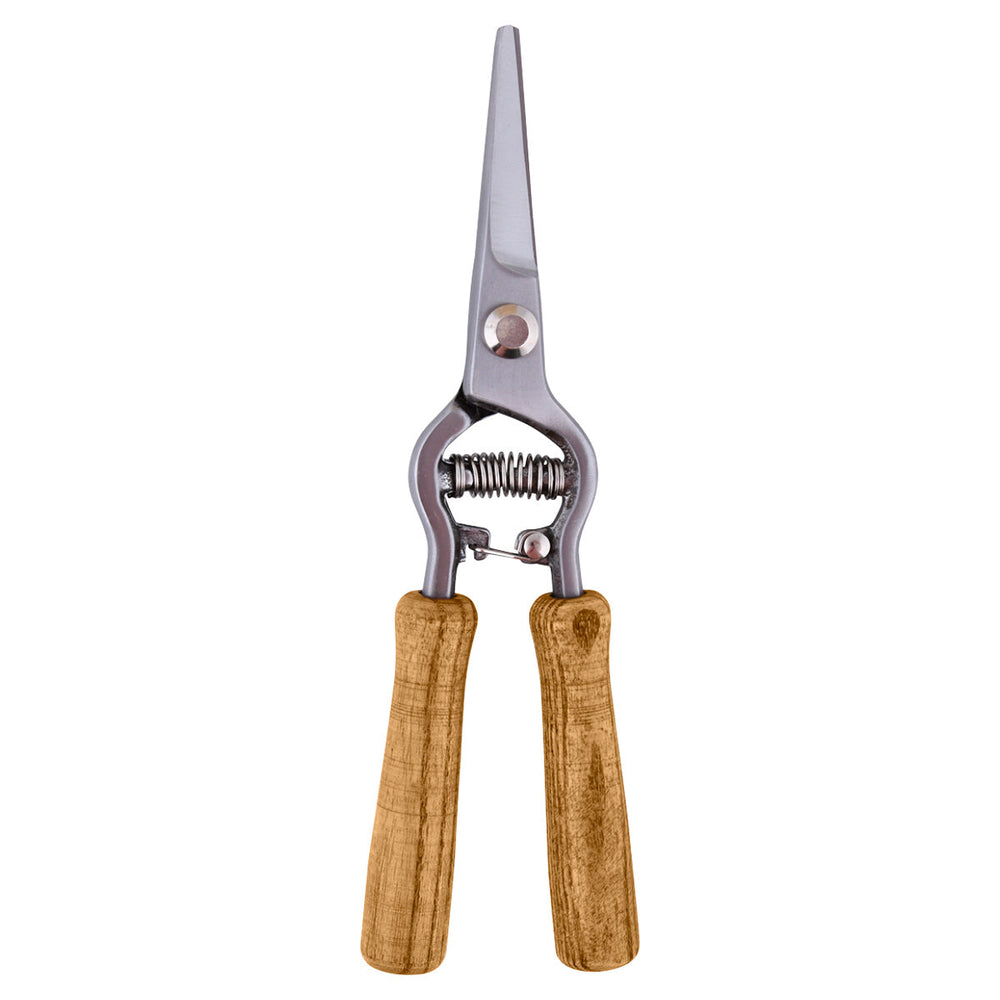 Flower Pruning Scissors - ↑ 21.5 Cm - Steel - Ashwood - Giftbox