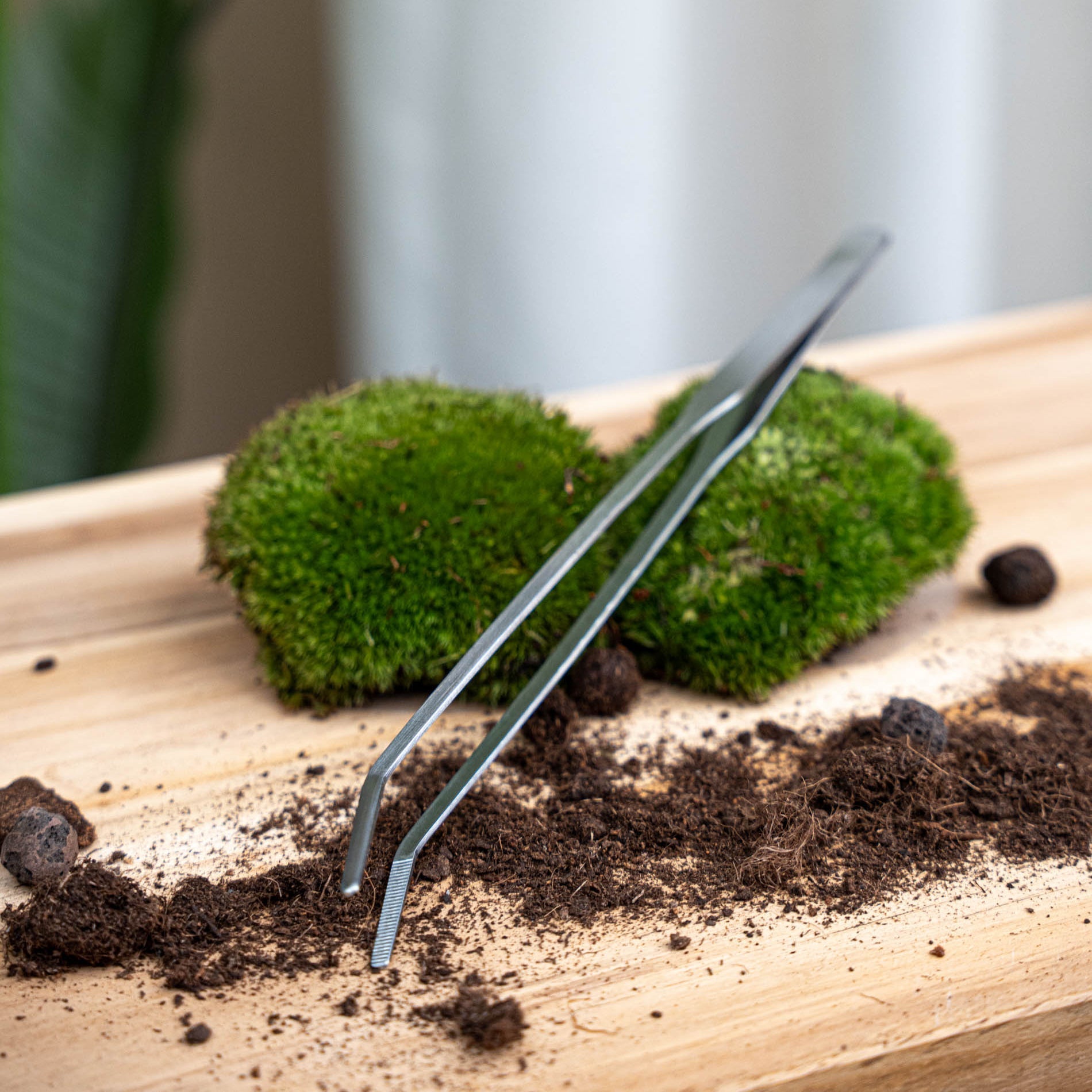 Extra Long Terrarium Tweezer - 26 Cm - Stainless Steel