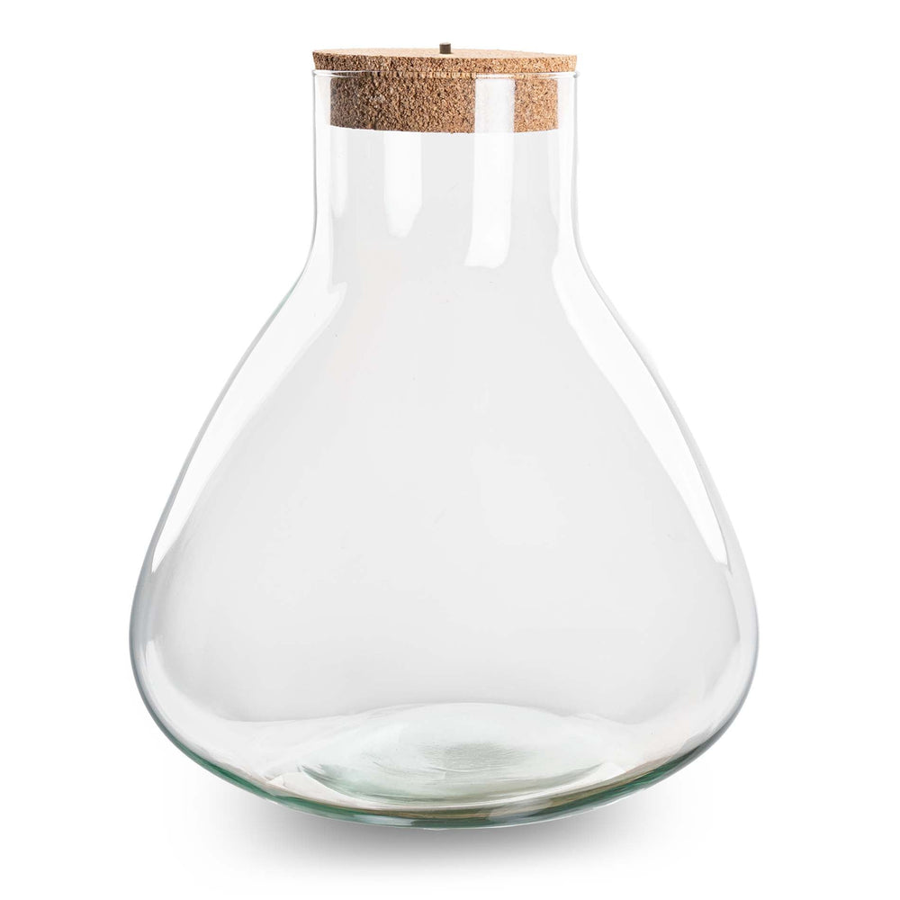 Terrarium With Cork - Mia With Led Cork - ↑ 35 Cm