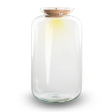 Terrarium With Cork - Sven Xl With Led Light - Closed Terrarium ↑ 43 Cm