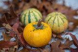 Pumpkin Mini Set (3 Pcs, 6–8 Cm) -  Natural Autumn Decoration