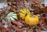 Pumpkin Mini Set (3 Pcs, 6–8 Cm) -  Natural Autumn Decoration