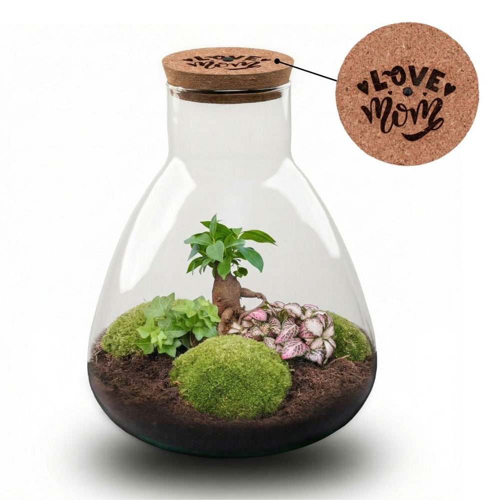 'Love Mom' Terrarium Mia + Engraved Cork With Light - Diy Kit - Ø 24.5 Cm ↑ 30 Cm - Mother’s Day