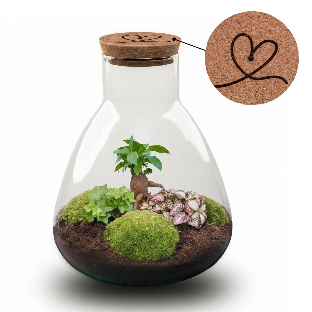 'Love Mom' Terrarium Mia + Engraved Cork With Light - Diy Kit - Ø 24.5 Cm ↑ 30 Cm - Mother’s Day