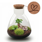 'Love Mom' Terrarium Mia + Engraved Cork With Light - Diy Kit - Ø 24.5 Cm ↑ 30 Cm - Mother’s Day