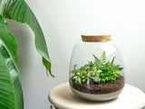Terrarium Ginolino - ↑ 20 Cm - Ø 19 Cm - Relatiegeschenk