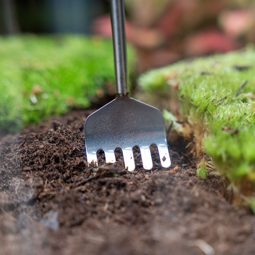 Terrarium Tool - Rake - 16-49 Cm - Telescopic - Stainless Steel