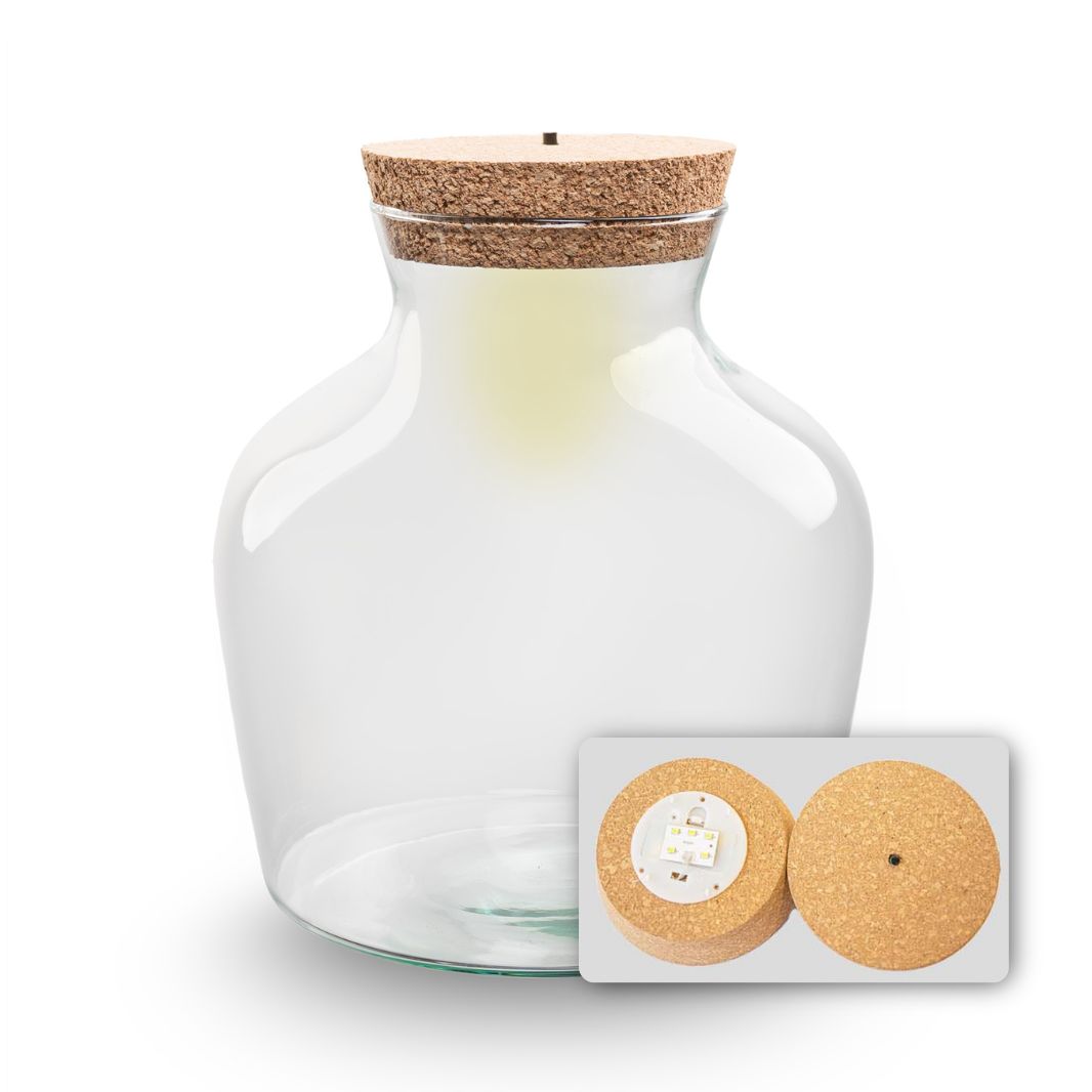 Terrarium Bottle 'Minolino' - Incl. Led Cork - Closed Terrarium Ø 20 Cm ↑ 22 Cm