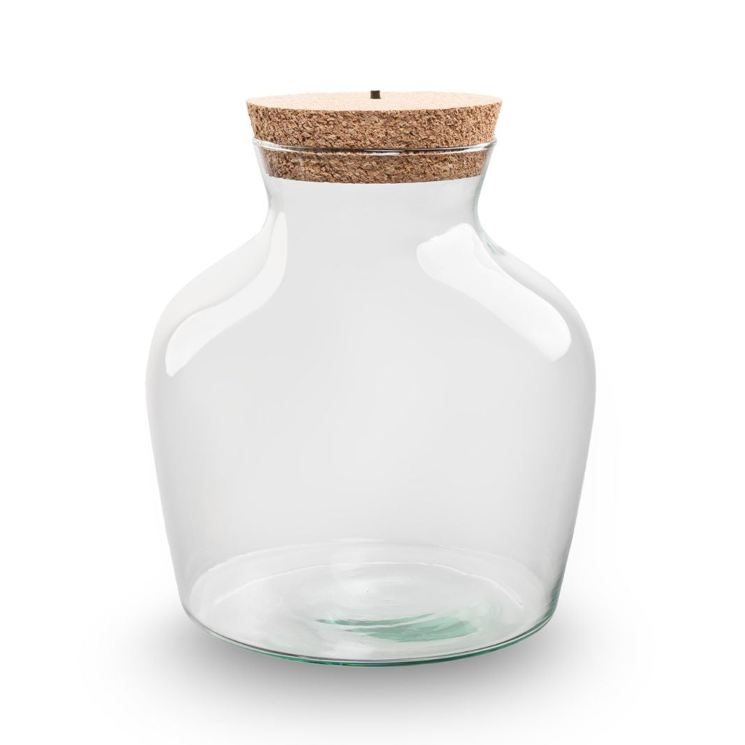 Terrarium Bottle 'Minolino' - Incl. Led Cork - Closed Terrarium Ø 20 Cm ↑ 22 Cm