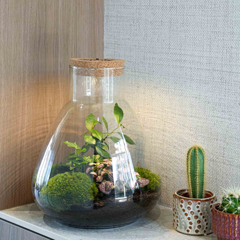 'Love Mom' Terrarium Mia + Engraved Cork With Light - Diy Kit - Ø 24.5 Cm ↑ 30 Cm - Mother’s Day