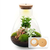 Terrarium Mia - Ø 24,5 Cm ↑ 30 Cm - Relatiegeschenk