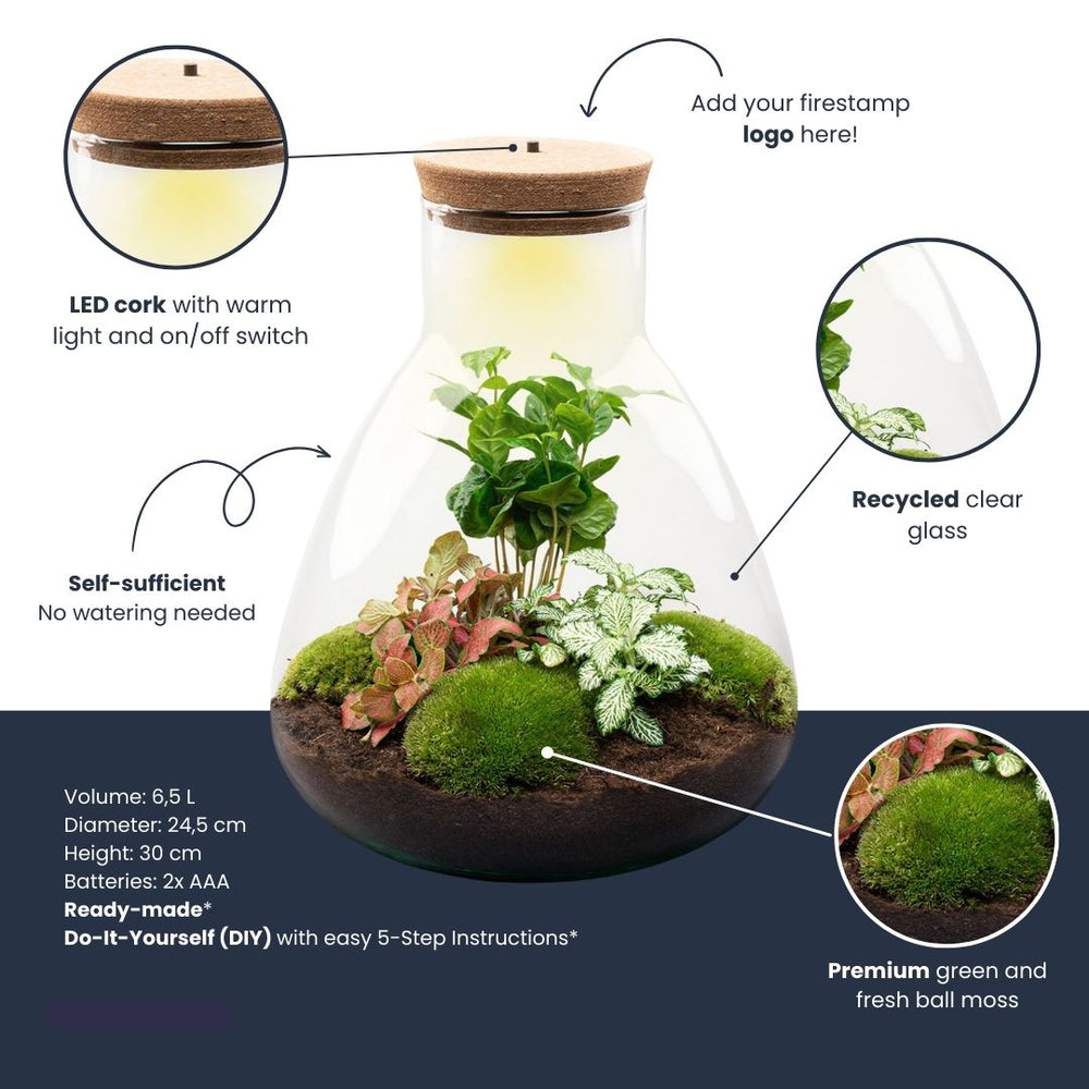 Terrarium Mia - Ø 24,5 Cm ↑ 30 Cm - Relatiegeschenk