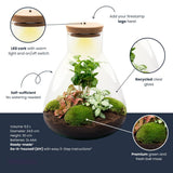 Terrarium Mia - Ø 24,5 Cm ↑ 30 Cm - Relatiegeschenk