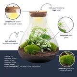 Terrarium Mia - Ø 30 Cm ↑ 32 Cm - Relatiegeschenk