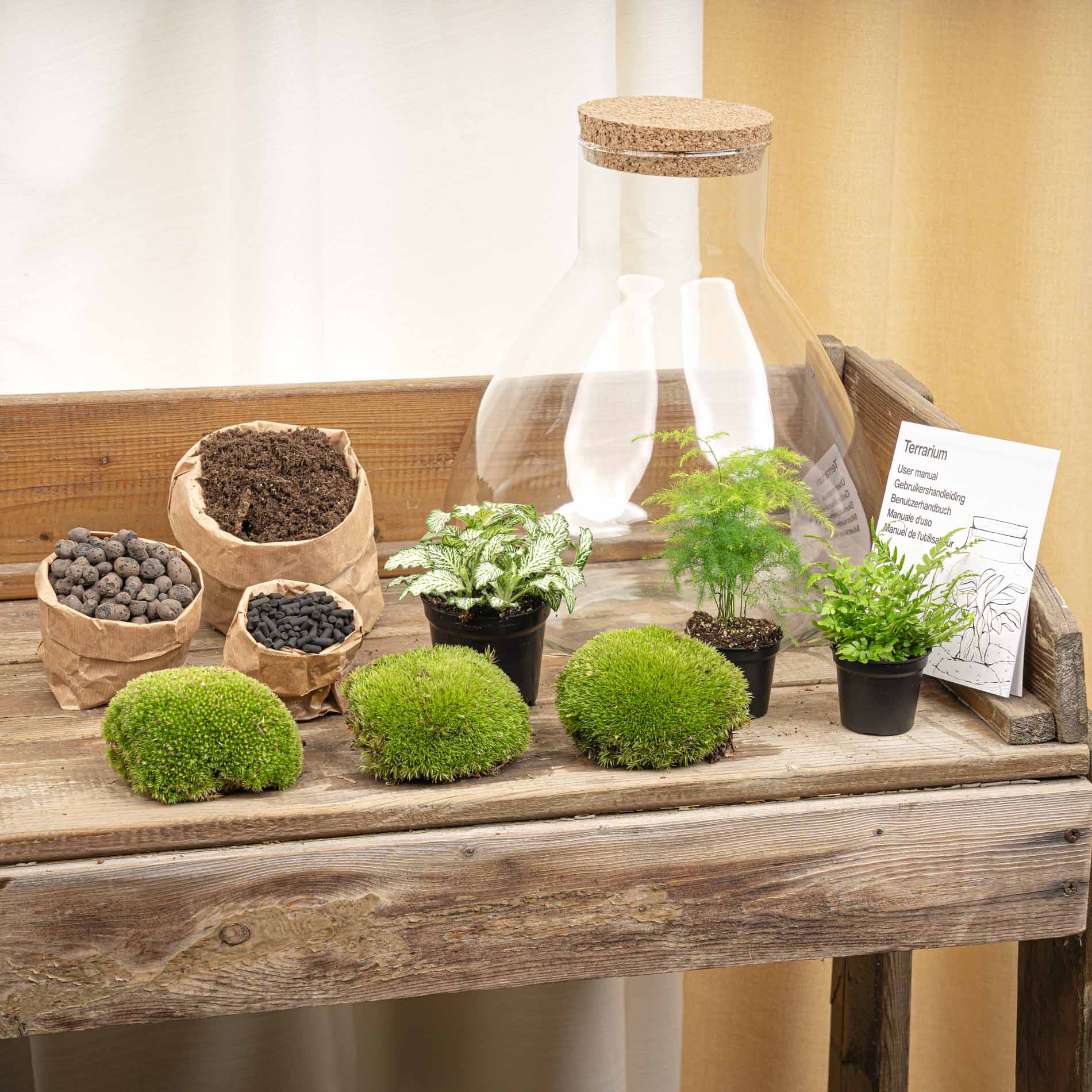 Terrarium Mia - Ø 30 Cm ↑ 32 Cm - Relatiegeschenk