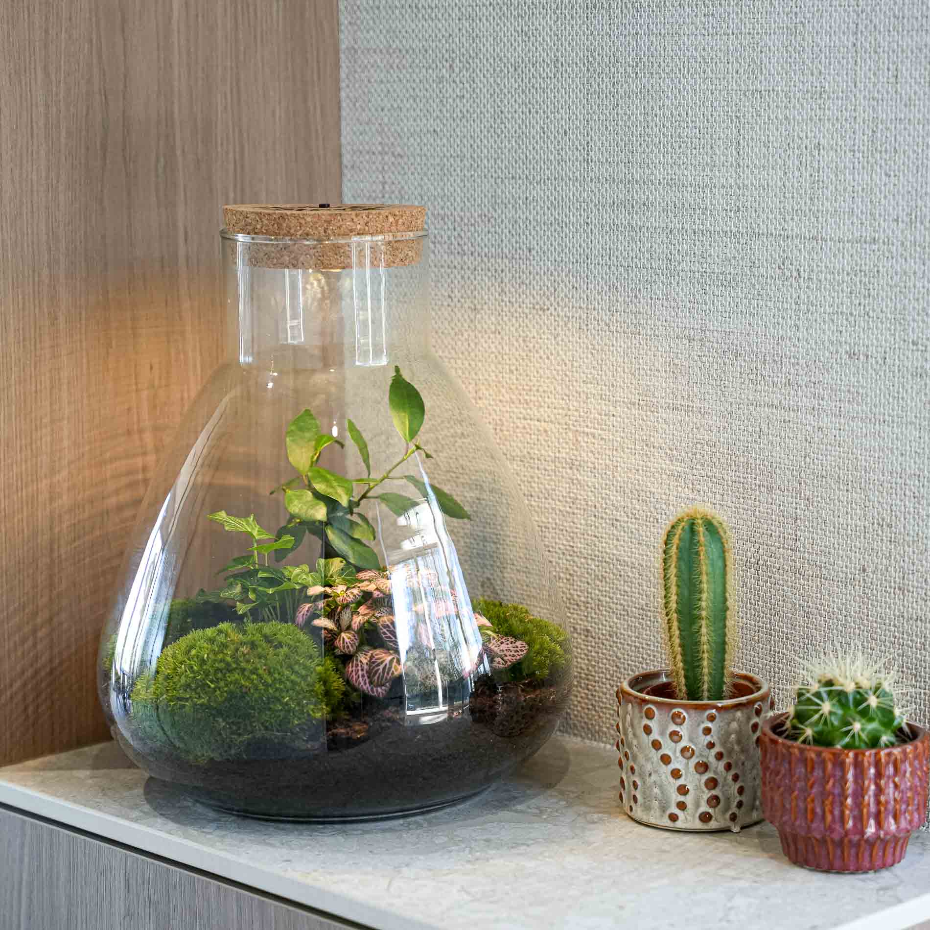 'Love Mom' Terrarium Mia + Engraved Cork With Light - Diy Kit - Ø 24.5 Cm ↑ 30 Cm - Mother’s Day
